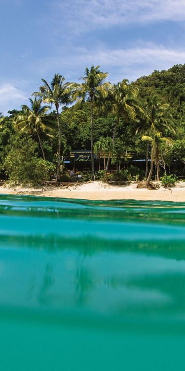 oceaniatropics: Foxy’s at Fitzroy Island, Queensland, Australia, by Phillip Thurston