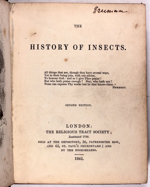 michaelmoonsbookshop: michaelmoonsbookshop:Natural History of Insects 1842[Sold] 