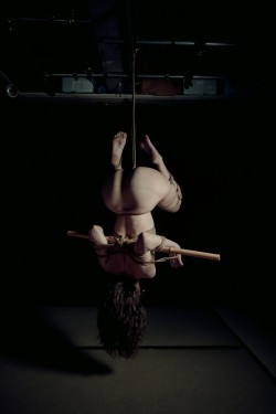 evilthell: My rope and photo. Http://evilthell.com   ボクの写真. Http://evilthell.com 