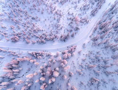 landscape-photo-graphy:Gorgeous &amp; Ethereal Aerial Photographs of a Snowy Forest in Finland b