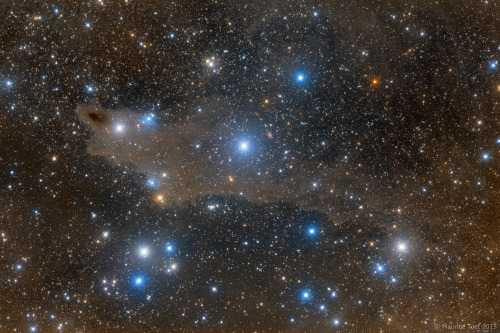 into-theuniverse:Shark NebulaIncludes nebulae LDN 1235, and VdB 149 &150
