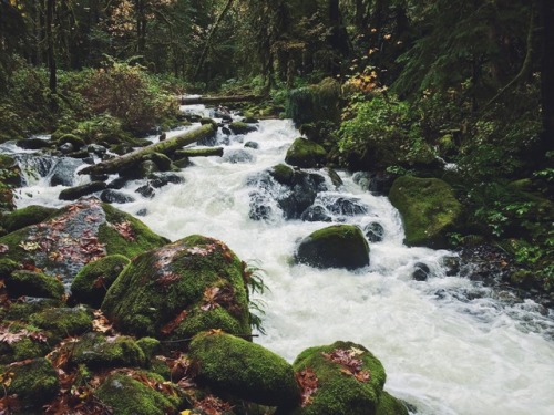 justapplyyourself - Horsetail Creek. Corbett, Oregon (October,...
