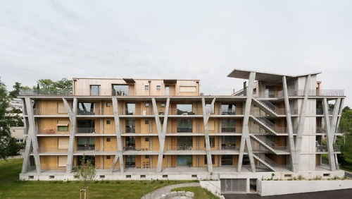 subtilitas: Halle 58 Architekten - Arborea Sägemattstrasse apartments, Köniz 2016. Photos © Christin