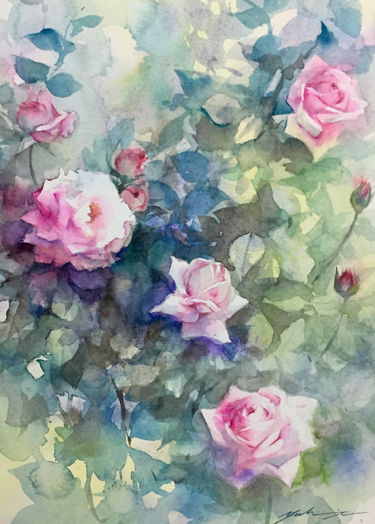 薔薇(rose) Jan.03.2018 watercolor size:242*333mm (F4) paper:hahnemuhle (細目・300g/m2)