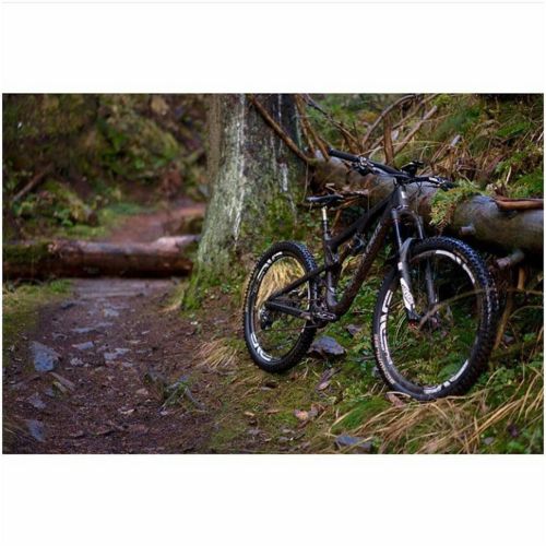 bikes-bridges-beer: ▪@wearekrank▪ ➖➖➖➖➖➖➖➖➖➖➖ Follow us for the highest quality MTB photos on Insta