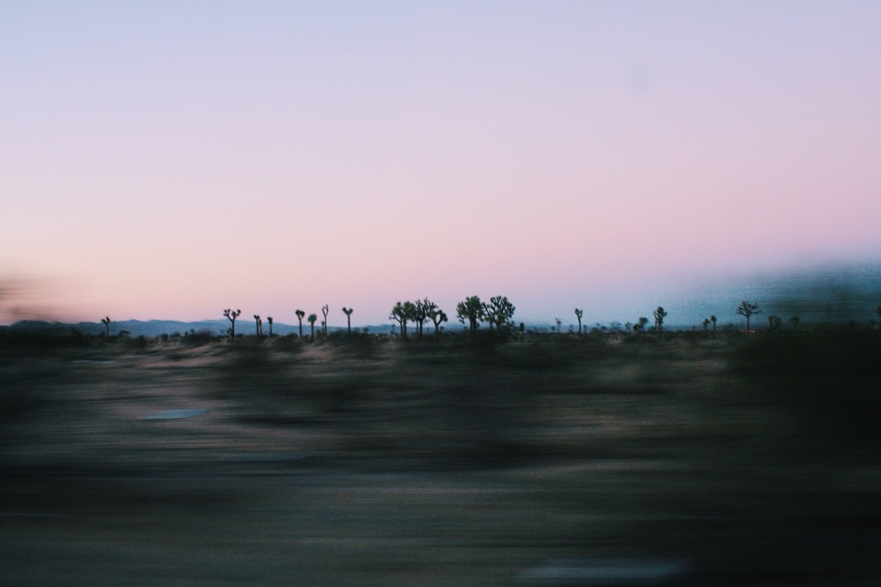 aubreylou22:Wish I could explore the desert for so long… California  11/14.