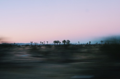 desertmagicgallery: aubreylou22: Wish I could explore the desert for so long… California  11/14. hot