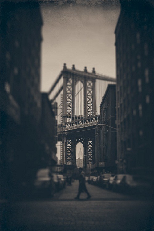 alecsgrg:  By: David 