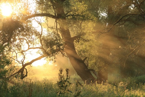 Podlasie, PolandSource: Klimaty Podlasia