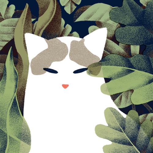 jeanniephan:  Cat and PlantsIllustration by Jeannie Phan My muse Odin and the various plants he love