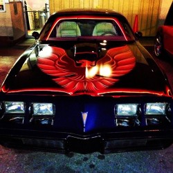 Lovegalo:  Poética Trans Am #Pontiac #Transam #Bird #Classic #Vintage #Bobsbigboy