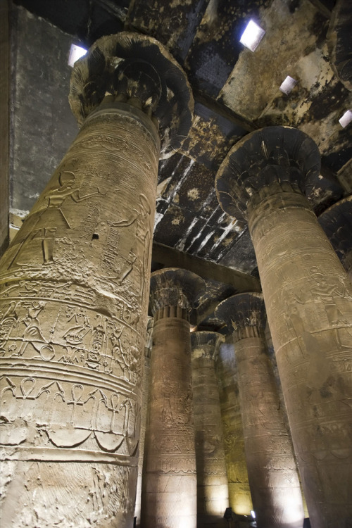 Columns in the second hypostyle hall, Temple of Horus at Edfu