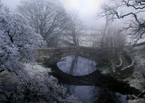 moshmallow:© Matthew James Turner