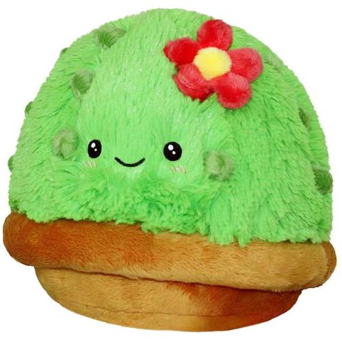 themed-stim-toys:Cactus ThemeCHEWY 1 | BALANCE TOY | CHEWY 2CHEWY 3 | PLUSH | SPIKY BALLSCHEWY 4 | F