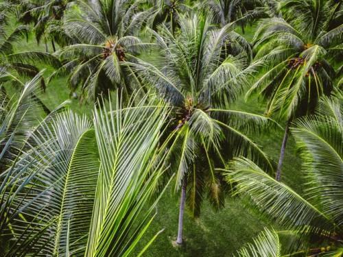 oceaniatropics:Port Douglas, Queensland, Australia, by Josh Withers