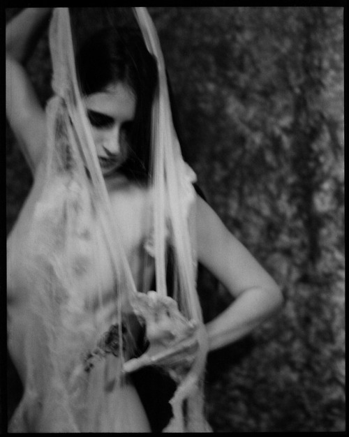 La Tisseuse de rêvesPictures: Charlotte Skurzak