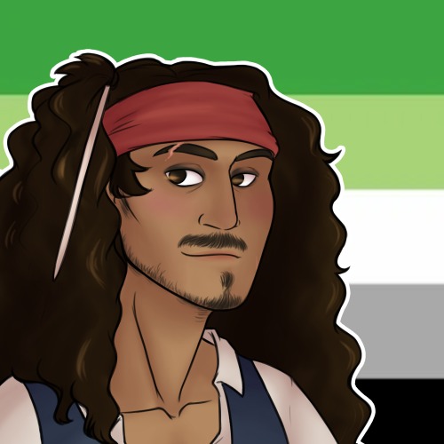 everythingispirates:  ☠ hand crafted jack pride icons, please consider reblogging and don’t fo