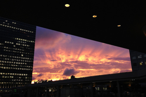 jpnys:  Evening sky | Tokyo, Japan by jamesjustin on Flickr. 