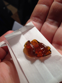 packthat-bowl:  Absolute Shatter