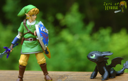 Zethofhyrule:  How To Train Your Toothless! Because Night Furies Are Cooler Than