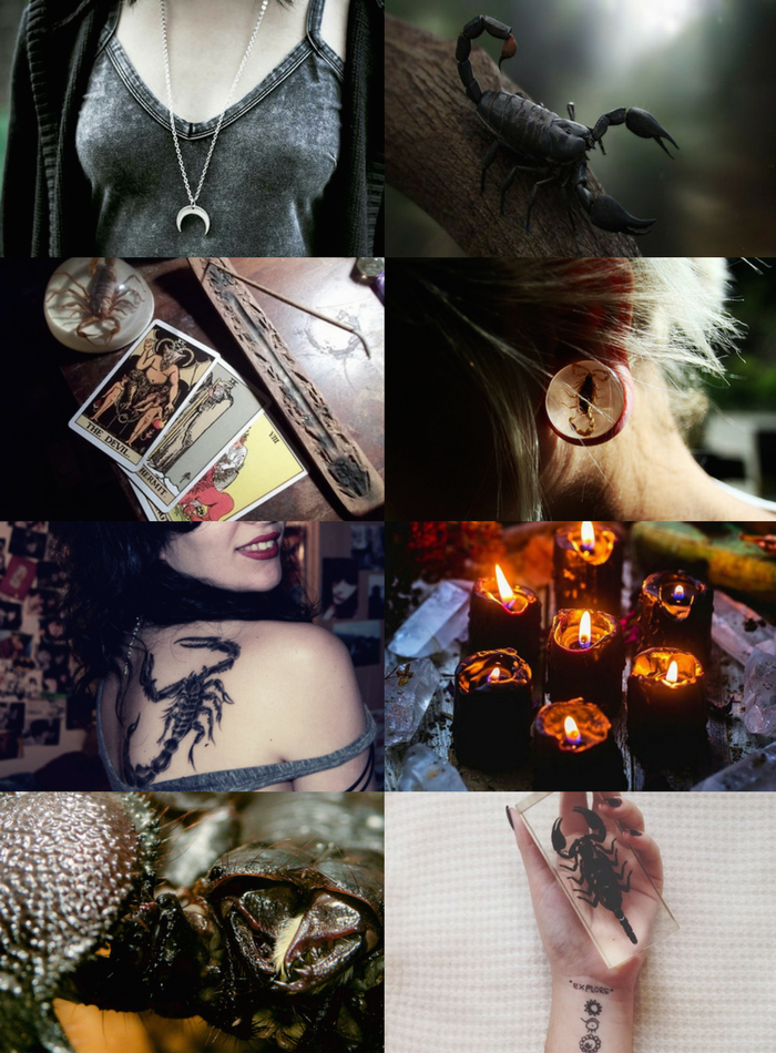 My Piece of Culture — Animal Witch Aesthetics // Scorpion Witch...
