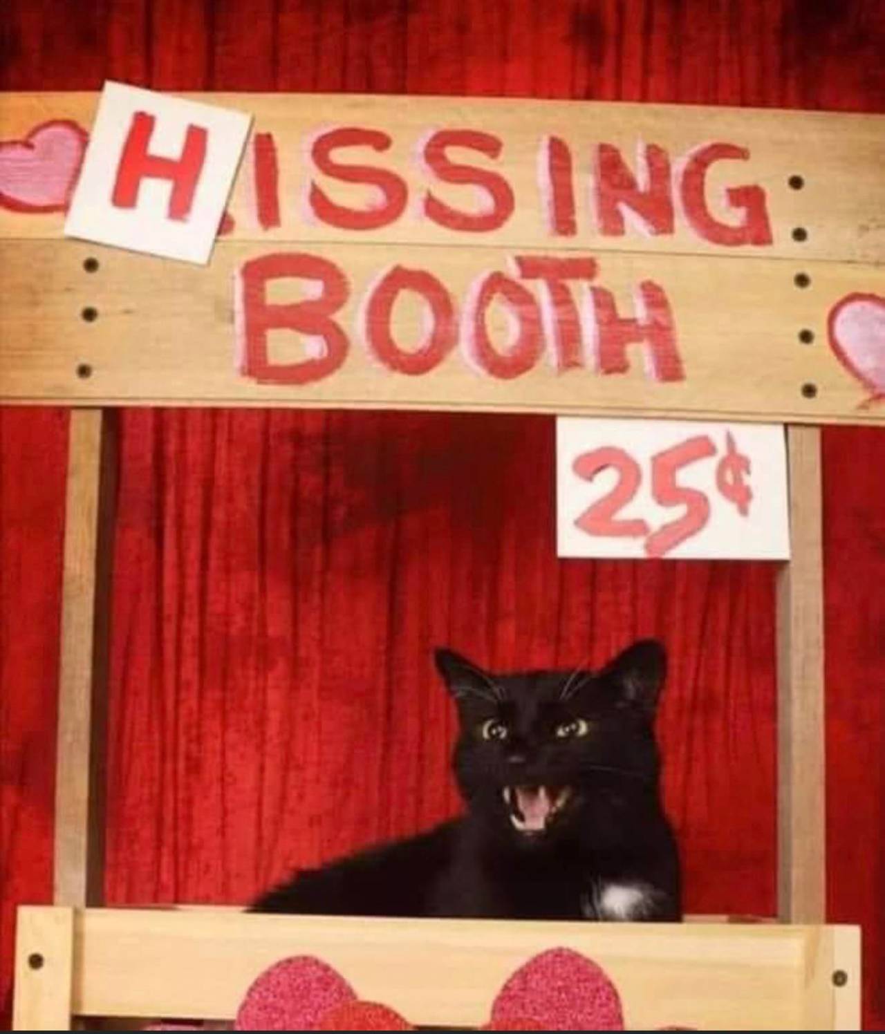 catasters: