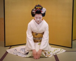 geisha-kai:  June 2017: maiko Toshisumi with pre-sakkou yakko shimada hairstyle by   h.ishibashi1001 on Instagram  ༼ つ ◕◡◕ ༽つ  Geisha-kai on P a t r e o n || Instagram   