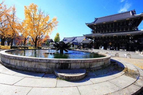 【京都府】東本願寺門と噴水⛲ . 銀杏も . （2021/11/29撮影） . #東本願寺 #御影堂門 #銀杏 #イチョウ #いちょう #東本願寺前 #東本願寺御影堂門 #噴水 #噴水⛲️ #門 #イ