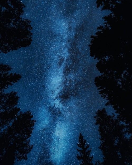 fifineller: Look Up by Sondre Eriksen