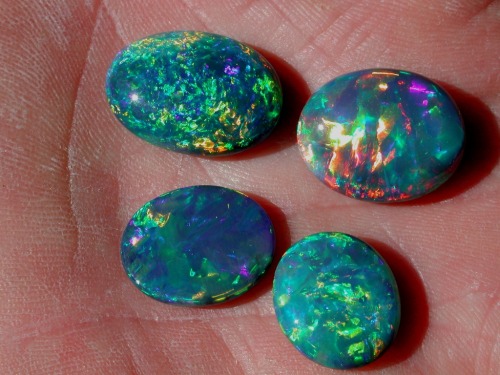 ggeology:  Black Opal // Coocoran Opal Fields, Lightning Ridge, Finch Co., New South Wales, Australia