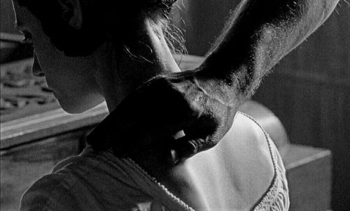 Dominant Male, Submissive Female.