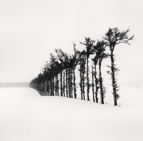 Michael Kenna (British-American, b. 1953, Widnes, Lancashire, England, based Seattle, WA, USA) - 1: 