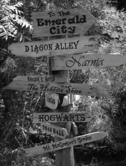 a-gentle-daddy:  vrrterr:  Tumblr | via Tumblr on We Heart It. http://weheartit.com/entry/72307864/via/terinka_sramkova  So:- Oz Harry Potter Narnia Wind in the Willows  Lord of the Rings Harry Potter again Wind in the Willow again.  But what’s the