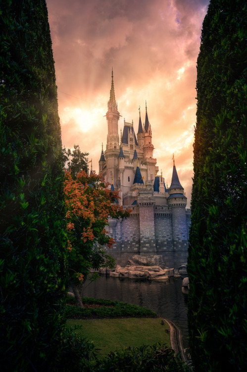 Cinderella Castle Sunset Between Two Trees by TheTimeTheSpace My alternate title for this shot was g