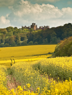 visitheworld:  Belvoir Castle overlooking the yellow fields of Leicestershire, England (by wilsonaxpe).