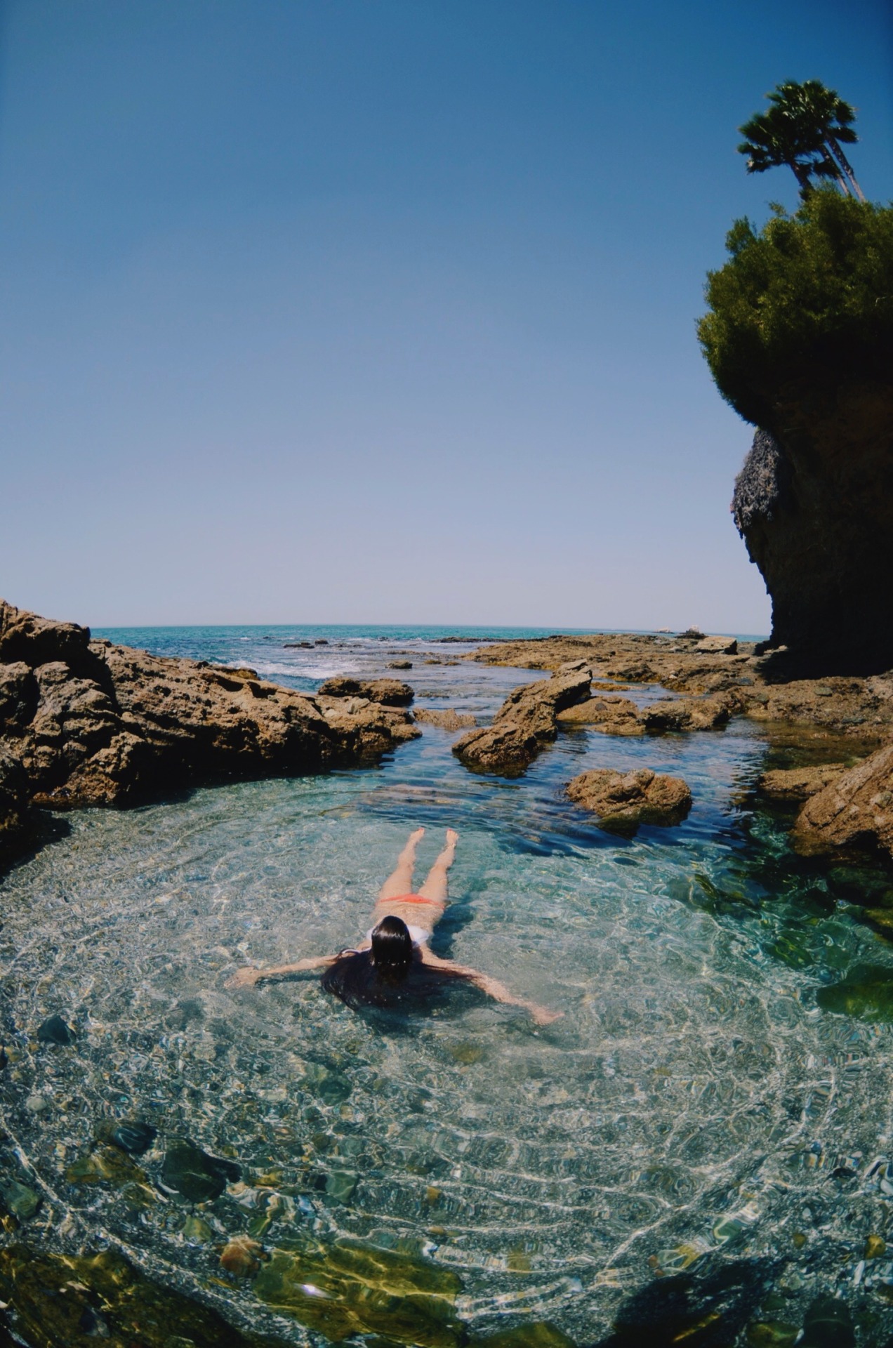 sassafranski:  floatin’