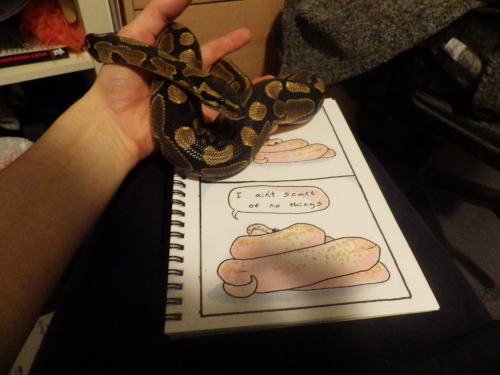 sundarsunya:@william-snekspeare Lieutenant Dan approves of my new notebook <3333