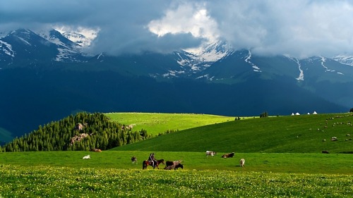 Spring Of Tianshan (The Heavens Mountains)