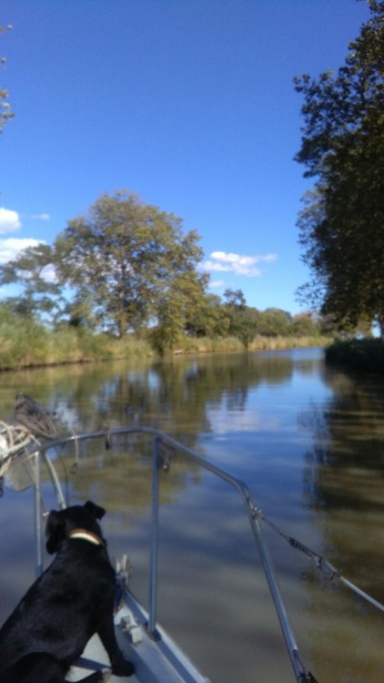 deeisace:Canal du midi in france this summer!