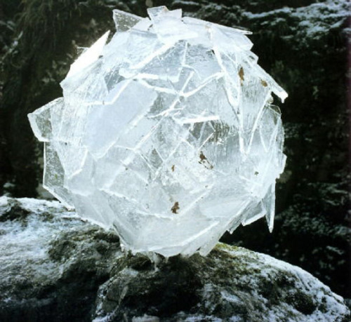 hbtheoriginal:  thedolab:  Do Andy Goldsworthy’s beautiful ice and snow sculptures give you ch