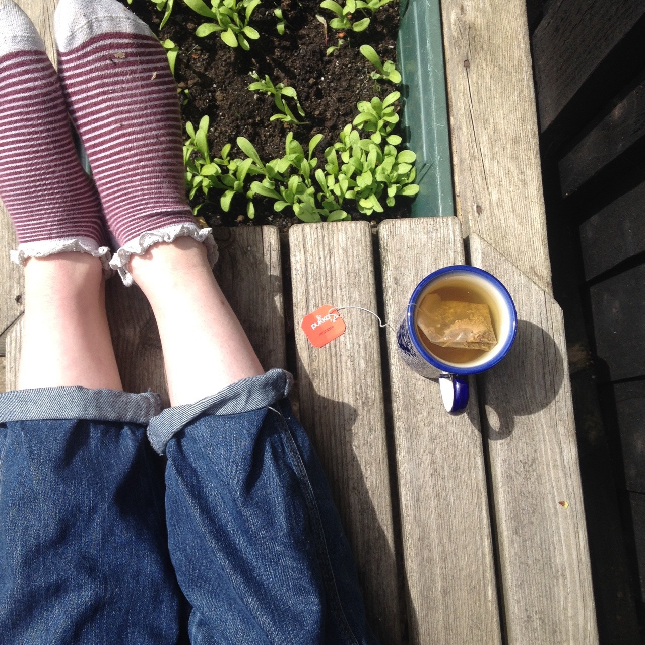 canyoubemywonderwall:  Today’s colours.