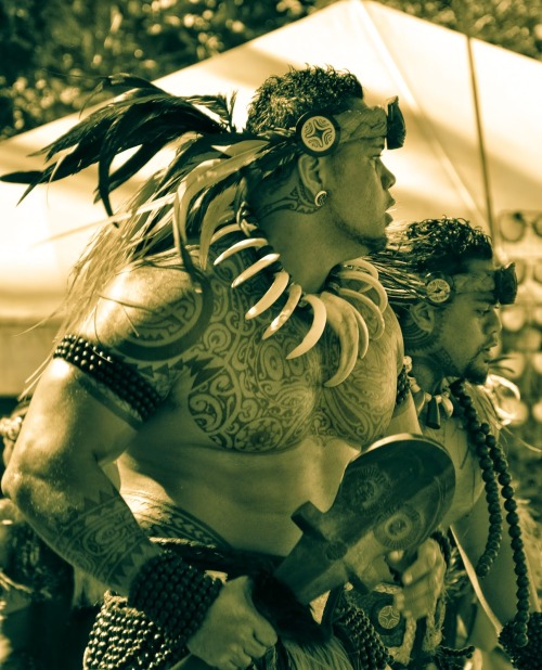 steercub:  keahimakua:  Thickness is normal among us polynesiansHere are some Tahitian dancers, looking focking fierce!  Mother of god I think I just fainted 