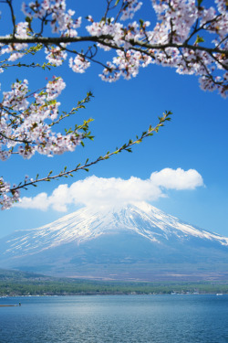 banshy:  Mount Fuji by Iyhon Chiu  