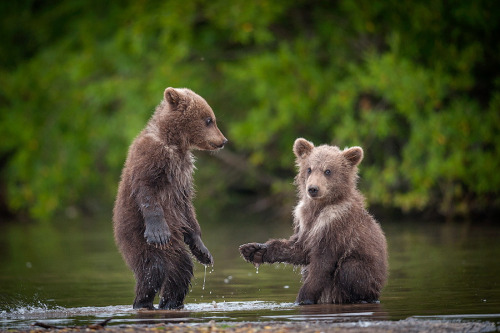 redwingjohnny:
“  Hi , brother !
photography by Sergey Ivanov
”