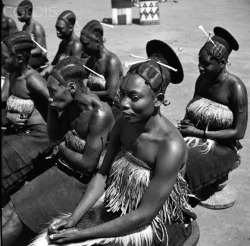 Vintagecongo:  Mangbetu Women, Belgian Congo By Otto Lang