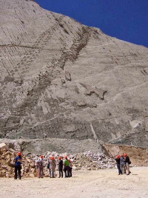 Check out this real life Jurassic Park setting in Bolivia, complete with dinosaur tracks… @Cu