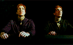 morsmordre-x:  harry potter meme: seven relationships [6/7] » fred &amp;