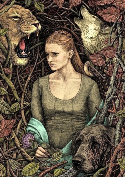 orchestrion:Sansa Stark by bubug