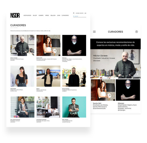 Diseño web NSDR