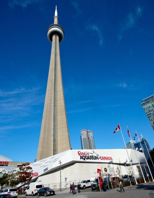 Ripley&rsquo;s Aquarium of Canada